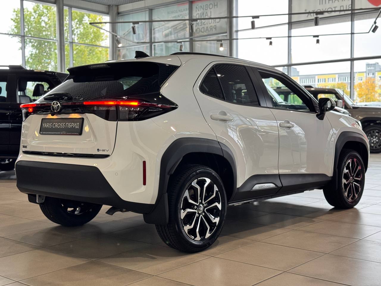 photo_2025_10_10_11_57_32