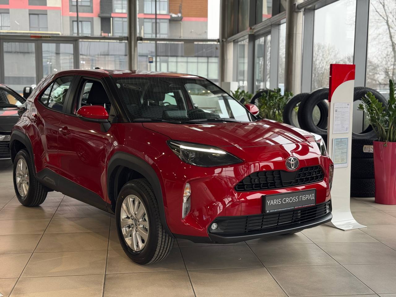 photo_2025_12_10_11_51_52_2