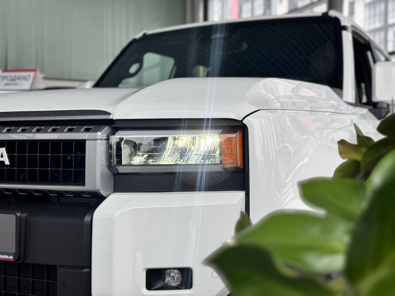 photo_2026_01_15_12_04_52