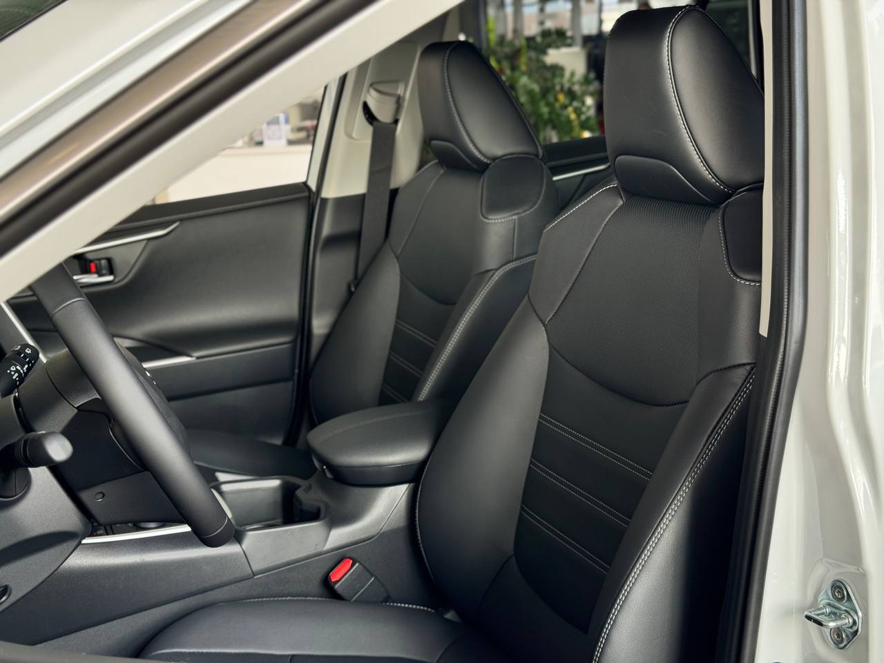 photo_2026_02_19_14_02_06