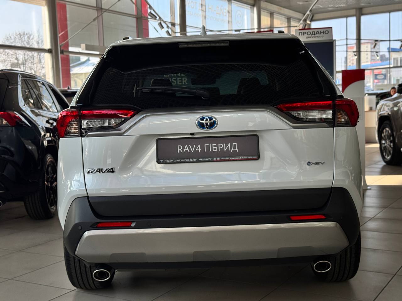 photo_2026_02_19_14_02_16_2